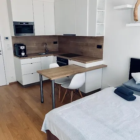 Business Apartment *